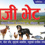 Flex Design for Vet Pharmacy vet form flex board design in nepali